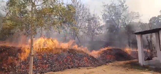 ಬೆಟ್ಟಕ್ಕೆ ಬೆಂಕಿ ತಗುಲಿ ಅಪಾರ ಪ್ರಮಾಣದ ಅರಣ್ಯ ನಷ್ಟ