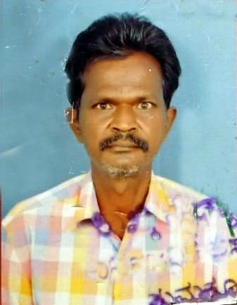 ಬೀದಿನಾಯಿಗಳ ಅಟ್ಟಹಾಸ: ಸಾರ್ವಜನಿಕರ ಆಕ್ರೋಶ!