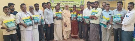 ಐಸಿಎಚ್-೫ ತಳಿಯ ಹರಳು ಬೆಳೆದರೆ ಕೈ ತುಂಬ ದುಡ್ಡು