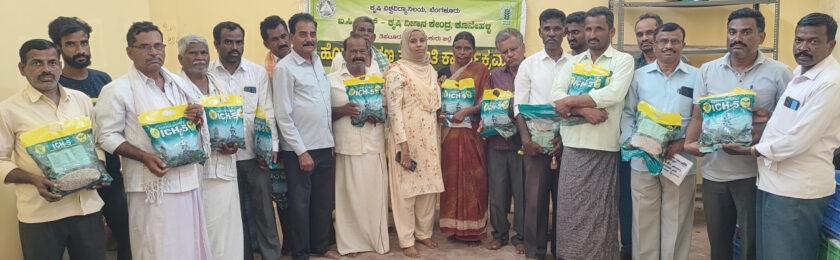ಐಸಿಎಚ್-೫ ತಳಿಯ ಹರಳು ಬೆಳೆದರೆ ಕೈ ತುಂಬ ದುಡ್ಡು