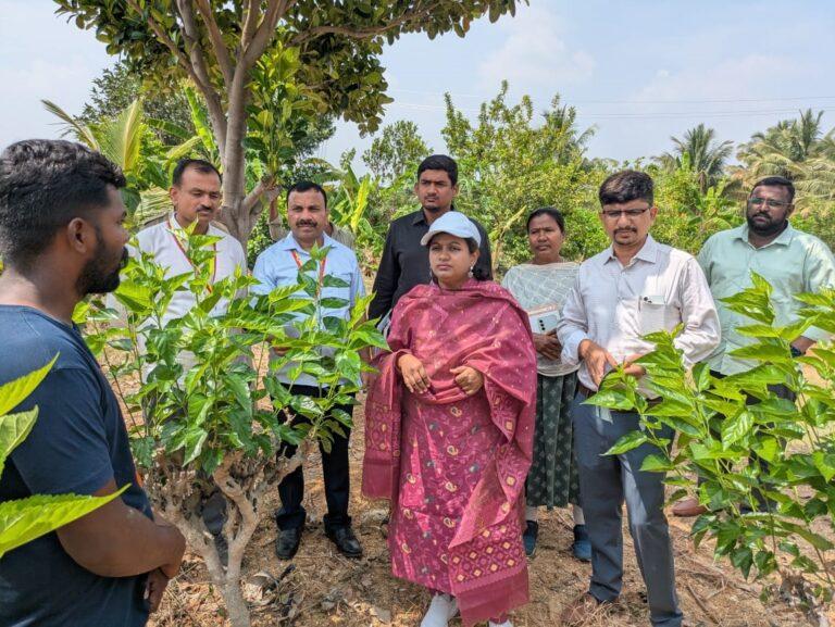 ಶಿರಾ ತಾಲ್ಲೂಕಿಗೆ ಜಿಪಂ ಸಿಇಒ ಭೇಟಿ: ಕಾಮಗಾರಿಗಳ ಪರಿಶೀಲನೆ